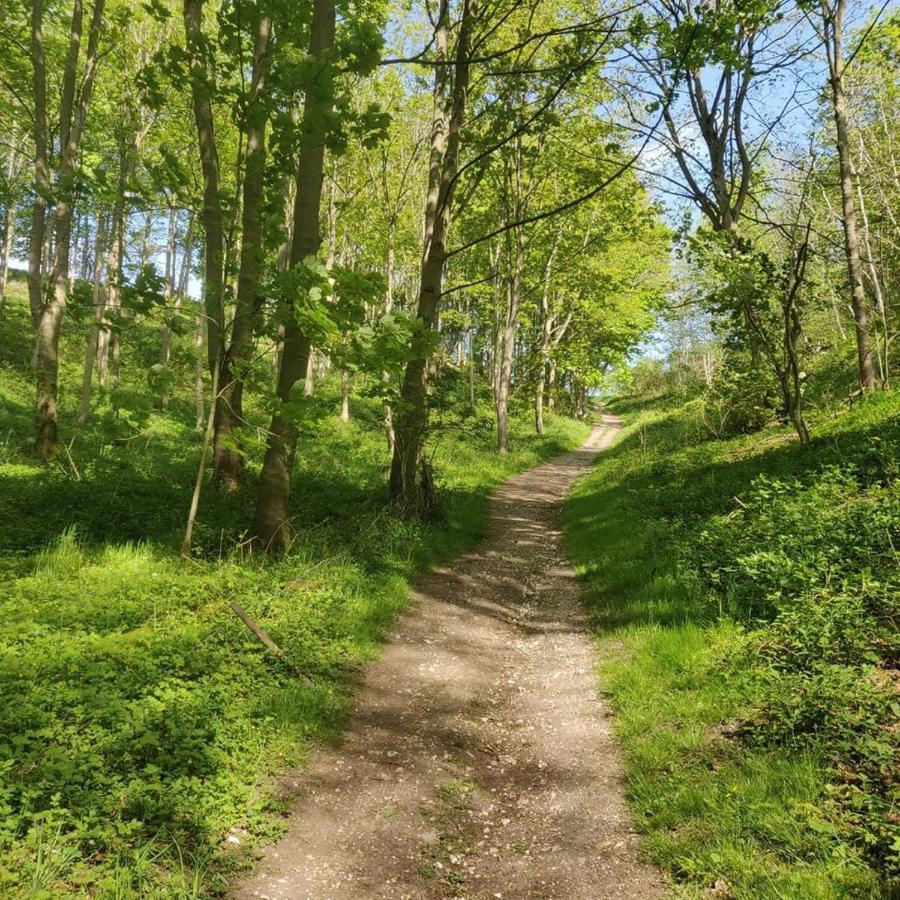 Holly Cottage, Hidden Gem In The Yorkshire Wolds Welton  Екстер'єр фото