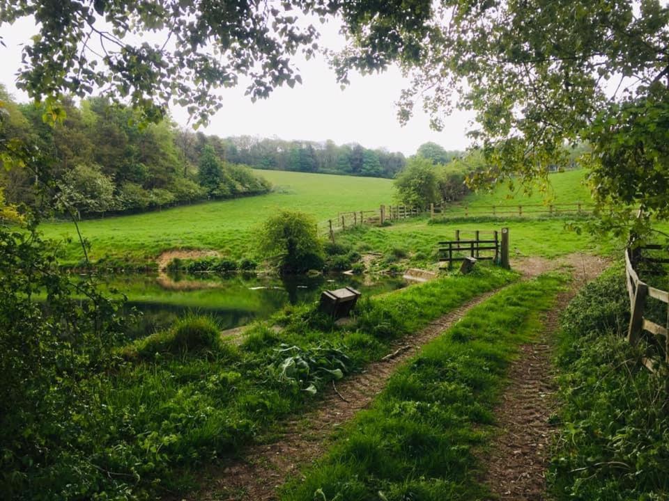 Holly Cottage, Hidden Gem In The Yorkshire Wolds Welton  Екстер'єр фото