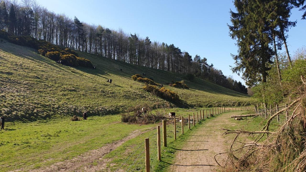 Holly Cottage, Hidden Gem In The Yorkshire Wolds Welton  Екстер'єр фото